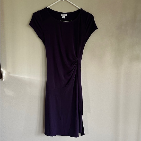 Maternity: Pea in the Pod Dress (size S) - Picture 1 of 3